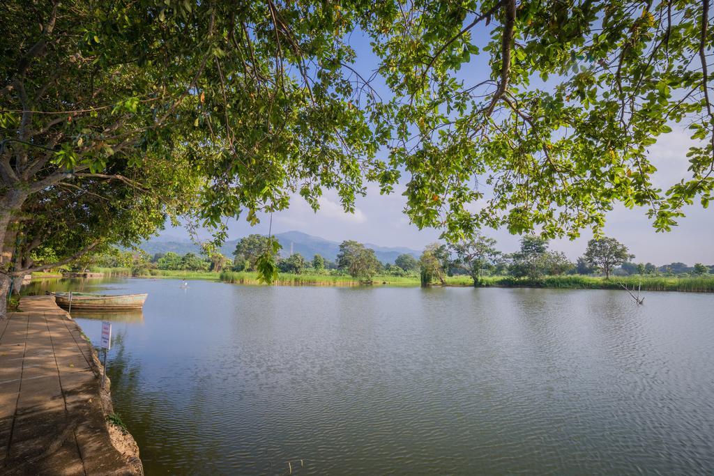 دامبولا Mps Village المظهر الخارجي الصورة